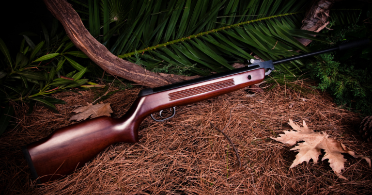 Air Rifle Hunting Can Benefit Ecology