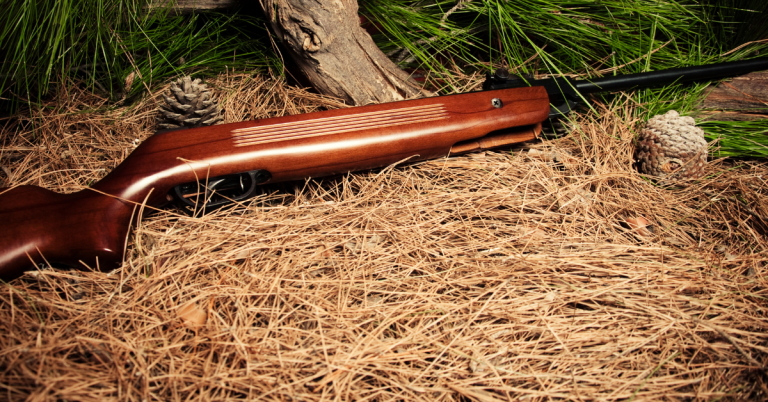 How do you effectively hunt small game with an air rifle?